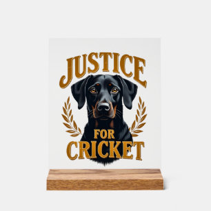 Gerechtigkeit Für Cricket Vintage Hundedenkmal Typ Acrylschild