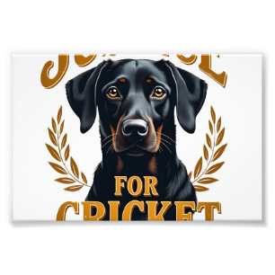 Gerechtigkeit Für Cricket Vintage Hundedenkmal Typ Fotodruck
