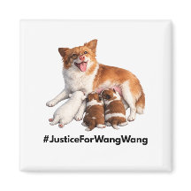 Gerechtigkeit für Wang Wang