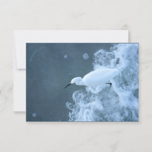Gerecycelt Rinder Egret/Gulls Dankeskarte