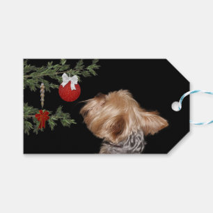 Gereiztes Yorkie Weihnachten Geschenkanhänger