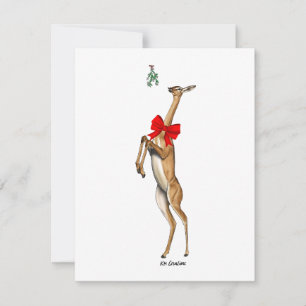 Gerenuk - Weihnachtskarte Feiertagskarte