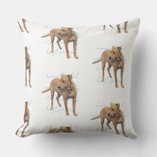 Gerettet Chopper Kissen (Vorderseite)