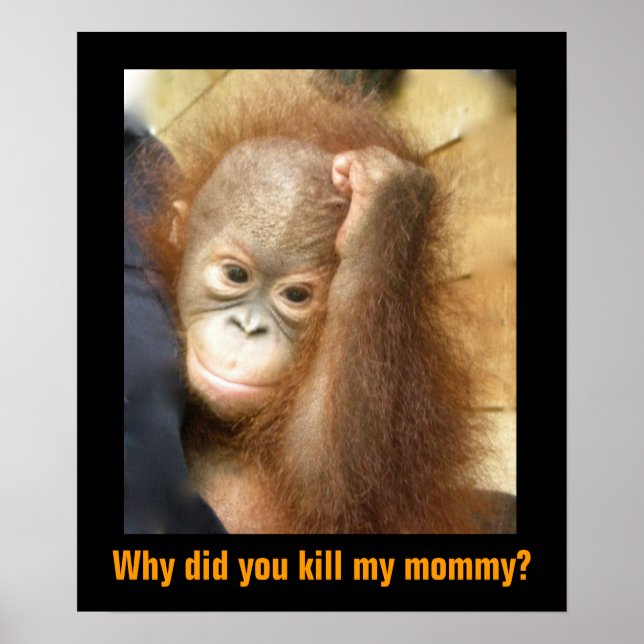 Gerettet gefährdete Tierwelt Orphan Orangutan Poster (Vorne)