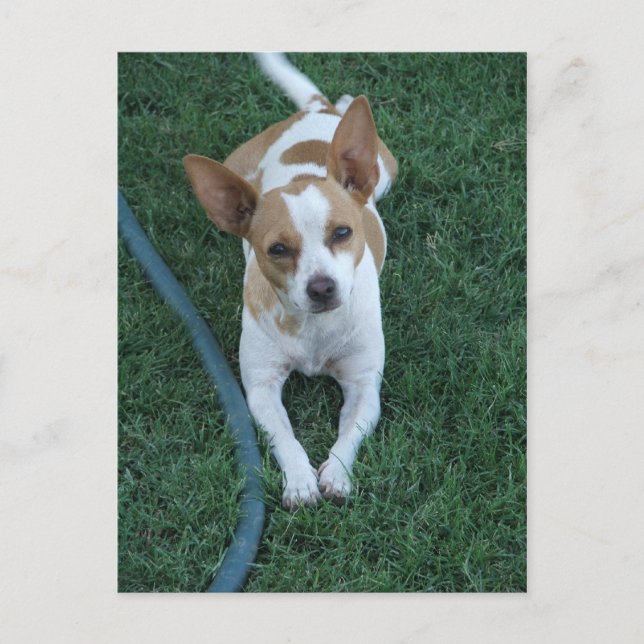 gerettet postkarte (Vorderseite)