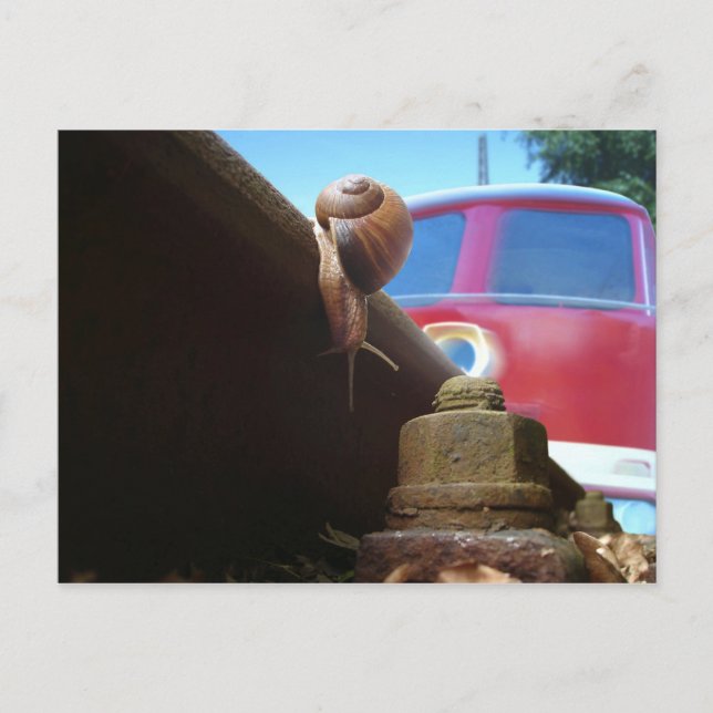 gerettet postkarte (Vorderseite)