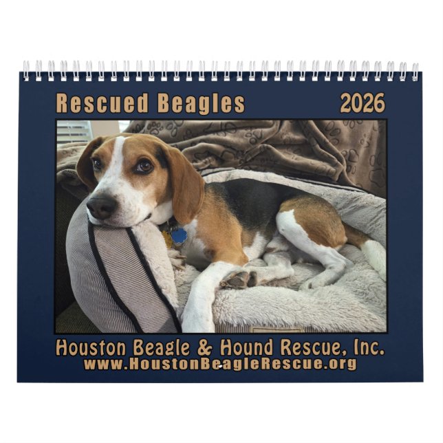 Gerettete Beagles 2026 Wandkalender (Titelbild)