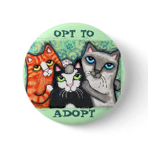 Geretteter/Schutz-Katze