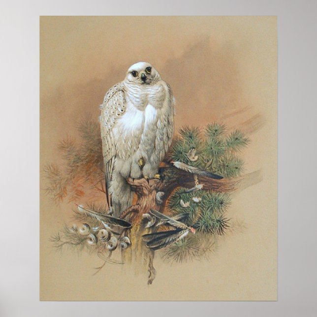 Gerfalke - 1861 poster (Vorne)