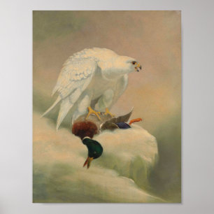Gerfalke von Joseph Wolf Poster