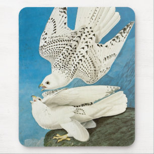 Gerfalken, auch Gyrfalken von John James Audubon Mousepad