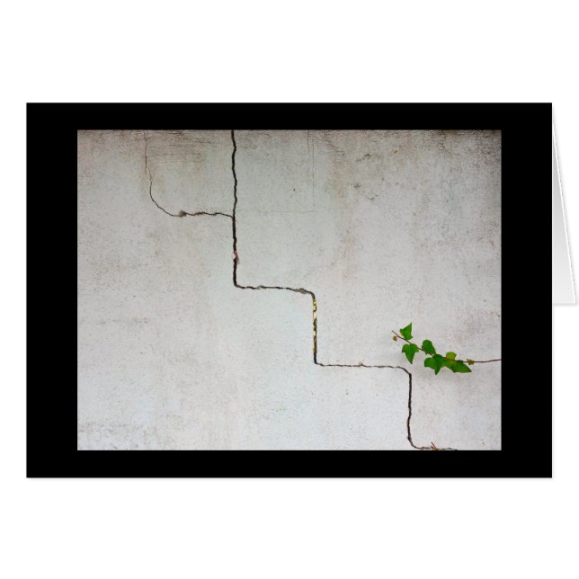 gerissen (Vorderseite (Horizontal))