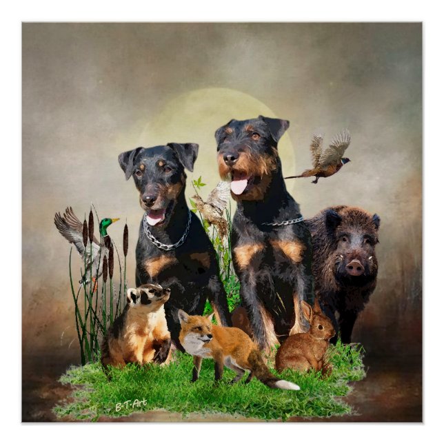 German Hunting Terrier (Jagdterre) Poster (Vorderseite)