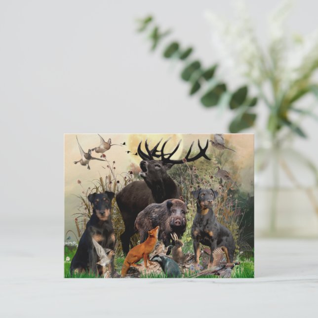 German Hunting Terrier (Jagdterre) Postkarte (Stehend Vorderseite)