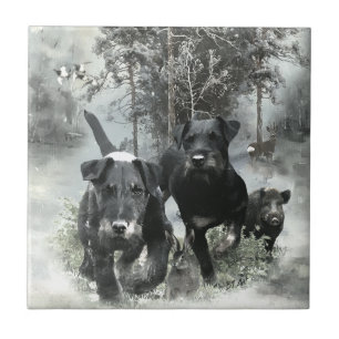 German Hunting Terrier, The Jagdterrier, Art Fliese