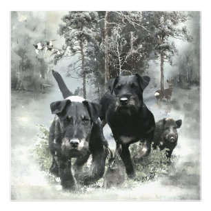 German Hunting Terrier, The Jagdterrier, Art Fotodruck