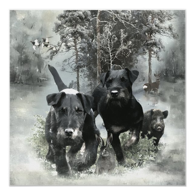 German Hunting Terrier, The Jagdterrier, Art Poster (Vorderseite)