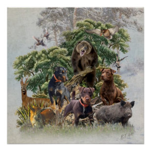 German Jagdterer , immer bereit zur Jagd Poster