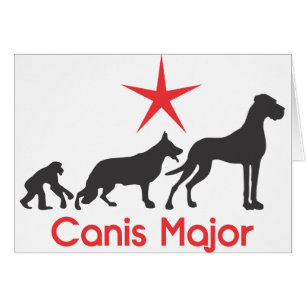 German Mastiff Canis Major
