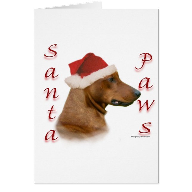German Pinscher Santa Paws (Vorne)