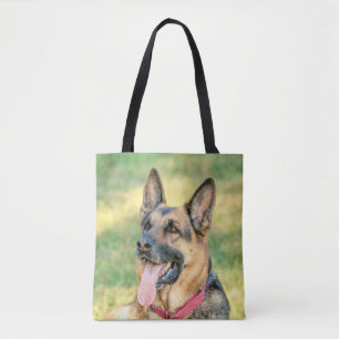 German Shepard