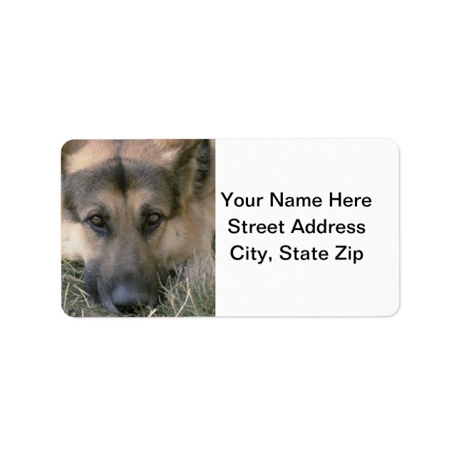 German Shepard Adressaufkleber (Vorne)