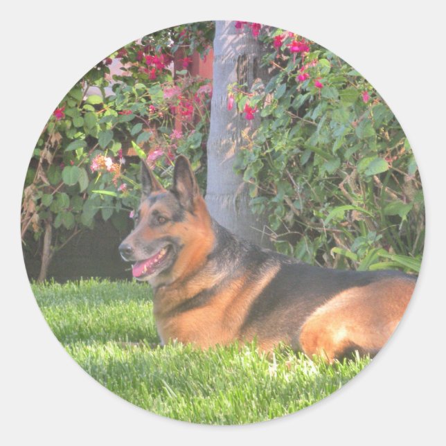 German Shepard Geschenke Runder Aufkleber (Vorderseite)