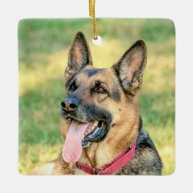 German Shepard Keramikornament (Vorderseite)