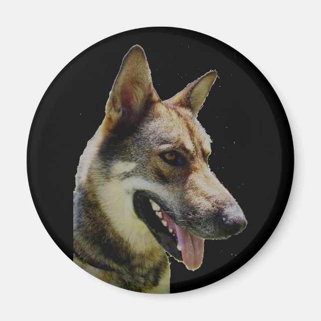 German Shepard Magnet (Vorne)