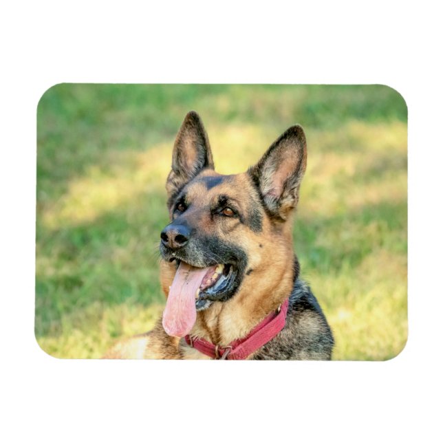 German Shepard Magnet (Horizontal)