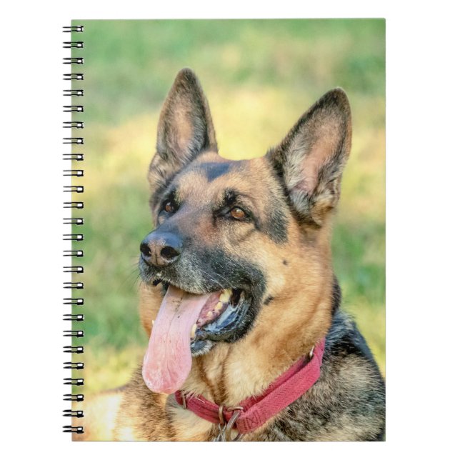 German Shepard Notizblock (Vorderseite)