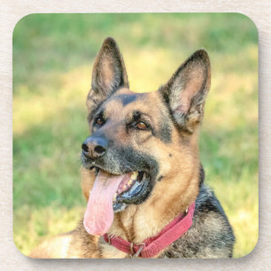 German Shepard Untersetzer