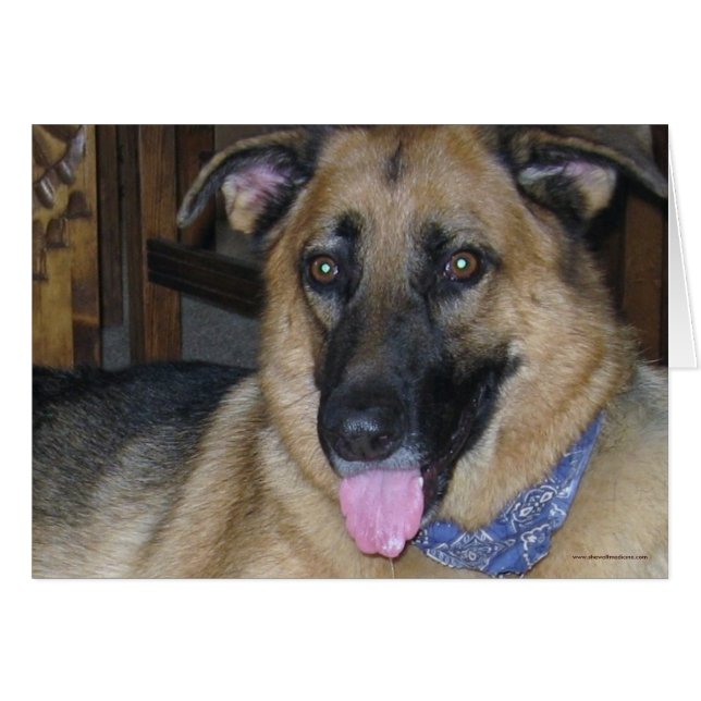 German Shepherd Bandana - Ranch Dog Lover Blank (Vorderseite (Horizontal))