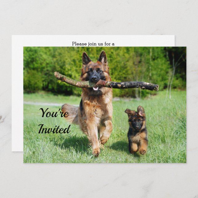 German Shepherd Birthday Einladung (Vorne/Hinten)