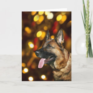 German Shepherd Christmas Feiertagskarte