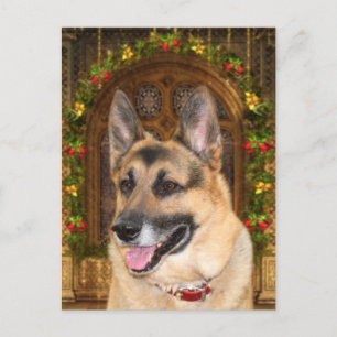 German Shepherd Christmas Feiertagspostkarte