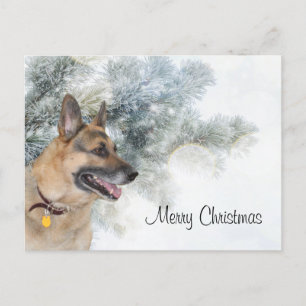 German Shepherd Christmas Feiertagspostkarte
