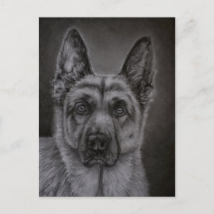 German Shepherd Dog Art - Noble Postkarte