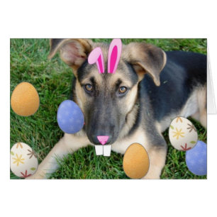 German Shepherd Easter Puppy