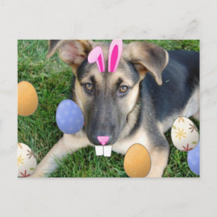 German Shepherd Easter Puppy Feiertagspostkarte