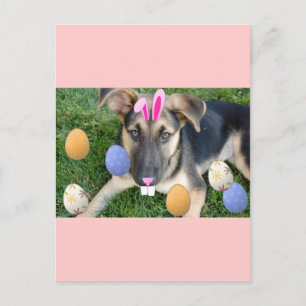 German Shepherd Easter Puppy Feiertagspostkarte