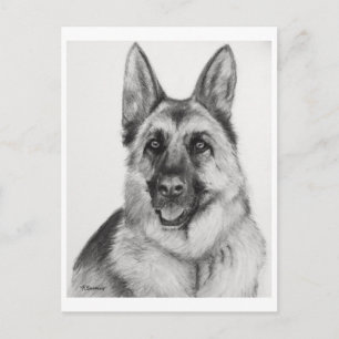 German Shepherd Fine Art Postkarte