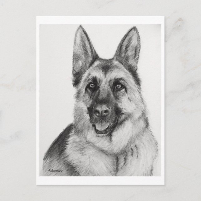 German Shepherd Fine Art Postkarte (Vorderseite)