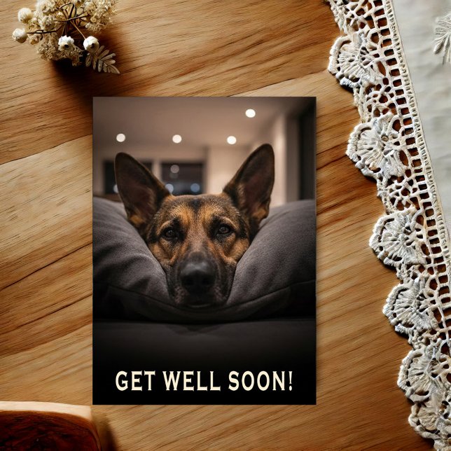German Shepherd Get Well Postcard Postkarte (Von Creator hochgeladen)