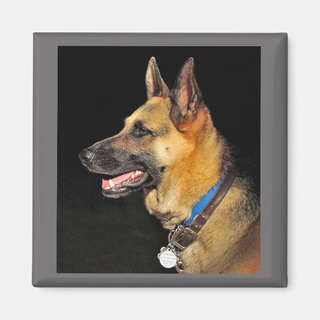 German Shepherd Magnet (Vorne)