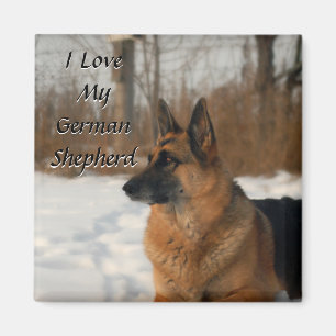 German Shepherd Magnet