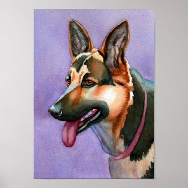 German Shepherd Poster (Vorne)