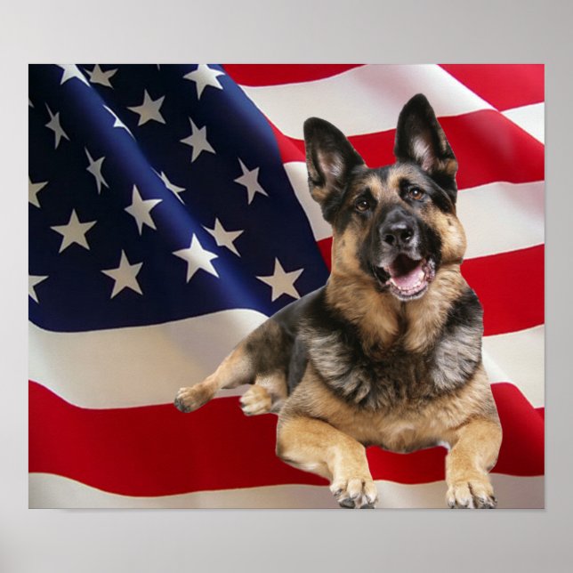 German Shepherd Print Poster (Vorne)