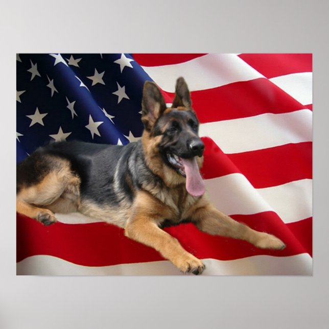 German Shepherd Print Poster (Vorne)