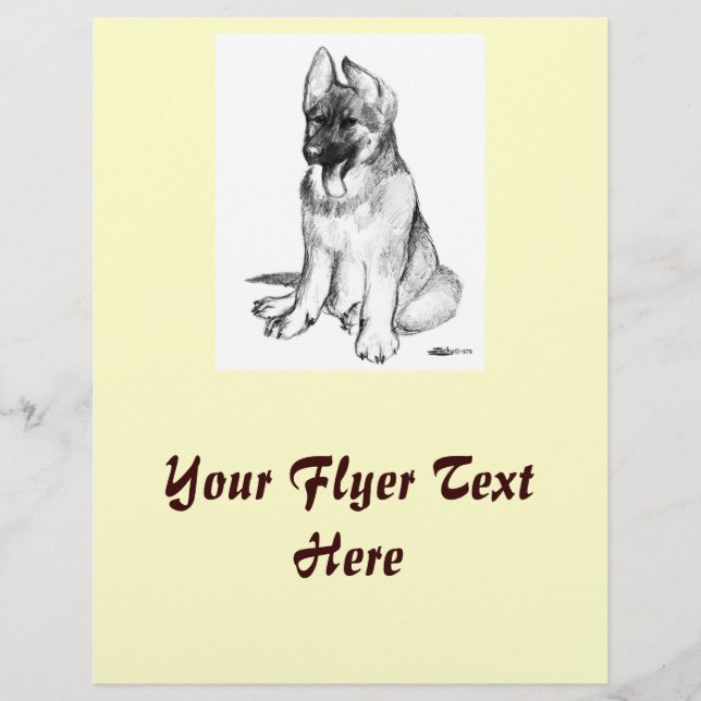 German Shepherd Puppy Flyer (Vorne)